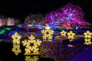 Stunning night view of Christmas lights